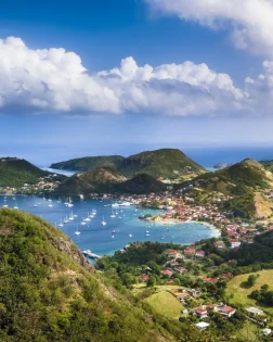chameau les saintes