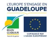 Logo FEDER