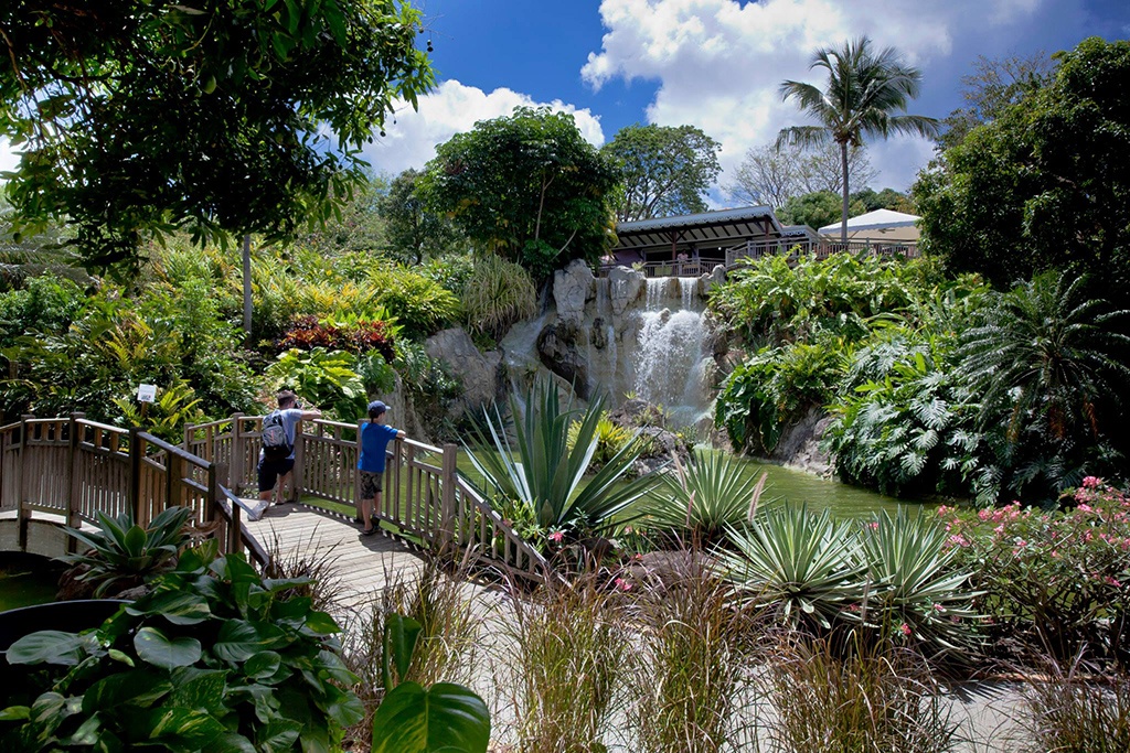 gallerie-du-jardin-botanique-deshaies-131